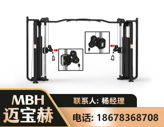 梅州大飞鸟训练器
