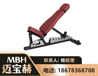梅州可调哑铃椅